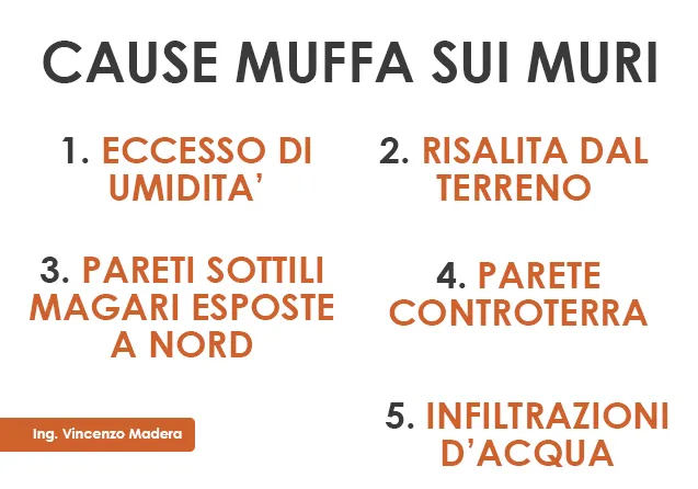 cause muffa pareti