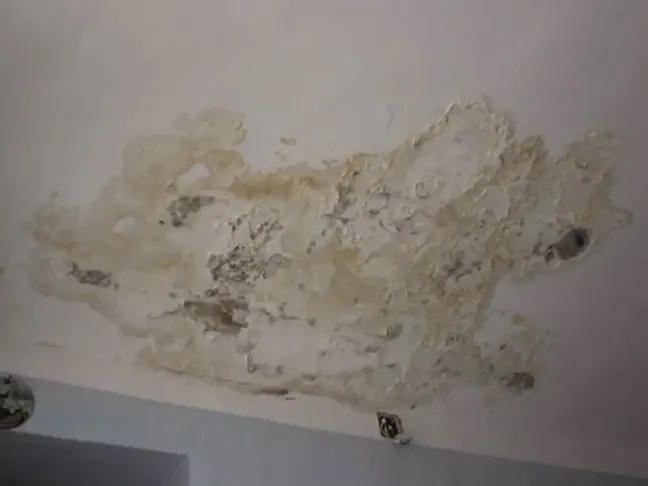 muffa infiltrazioni acqua rimedi