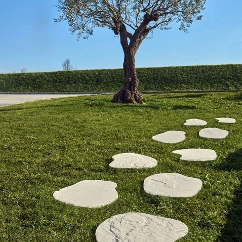 passi giapponesi